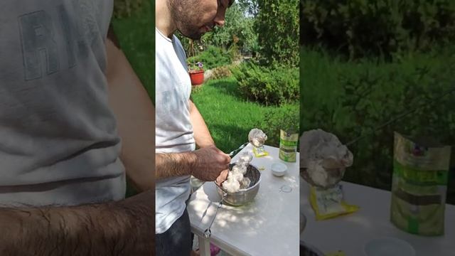 грибы на шампуре смотреть онлайн