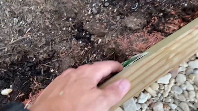 Watering Your Garden: How to irrigate correctly! #tips #how смотреть онлайн