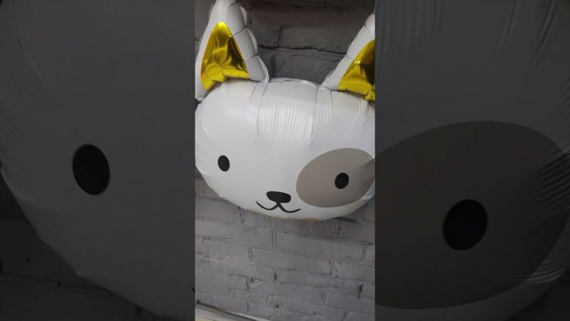 Голова Щенка Воздушный шар фигура из фольги  Puppy's Head Balloon Foil Figure #shorts