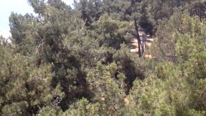 Вид из номера пансионат "Колхида " Пицунда