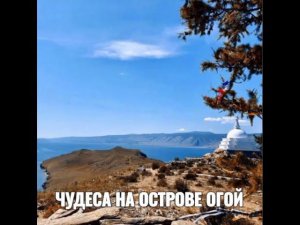 ЧУДЕСА НА ОСТРОВЕ ОГОЙ