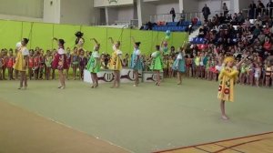 Открытое первенство Октябрьского района по художественной гимнастике 16-17 ноября 2013г.