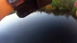 Lucky Craft Tone Splash. Ловля окуня на поппер с пропеллером