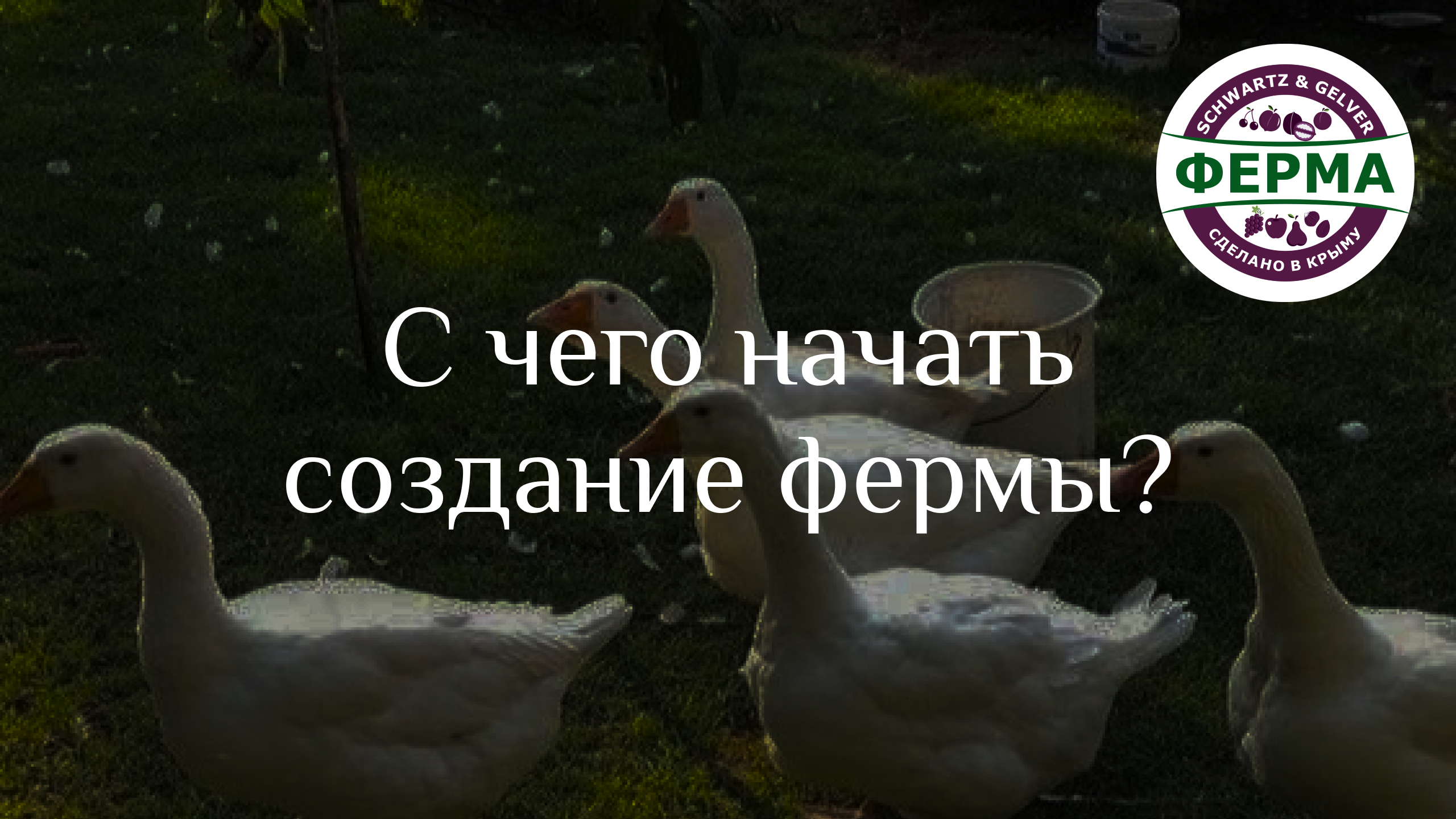 С ЧЕГО начать СОЗДАНИЕ ФЕРМЫ?