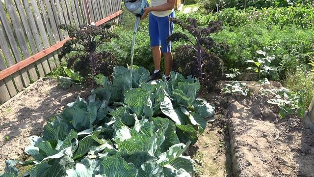 6 соток 31 июля 2021 год. Хроника. смотреть онлайн