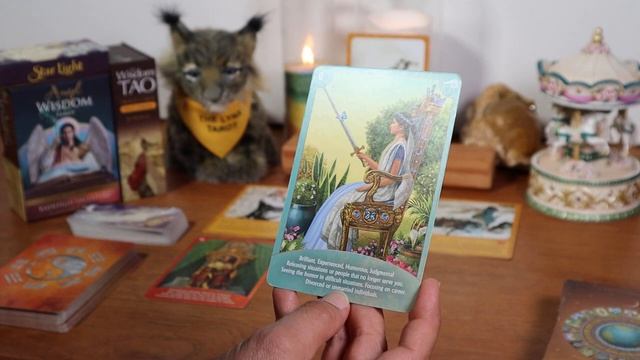 ♍VIRGO: "GOOD FORTUNE ALL AROUND YOU" ???TAROT & ORACLE MESSAGES: NEXT 7 - 14 DAYS смотреть онлайн