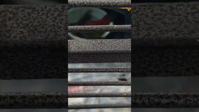 Черноголовый Лори попугай Гоша купается.Black capped lory parrot Gosha смотреть онлайн