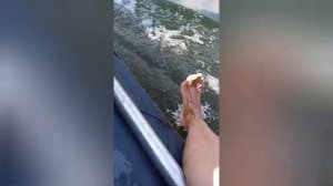 Семейный сплав по реке Вишере. От посёлка Мутиха до посёлка Вишерогорск. 15.08.2023 - 18.08.2023.