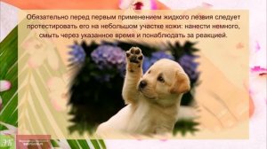 Жидкое лезвие для педикюра. Как применять жидкое лезвие для педикюра?