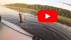 Рыбалка на Рыбинском водохранилище + р. Согожа