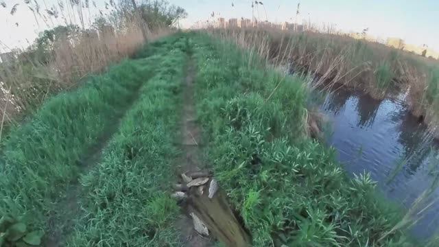 Караси лапти меня порадовали!!! Кастинговая сеть! Рыбалка!!!