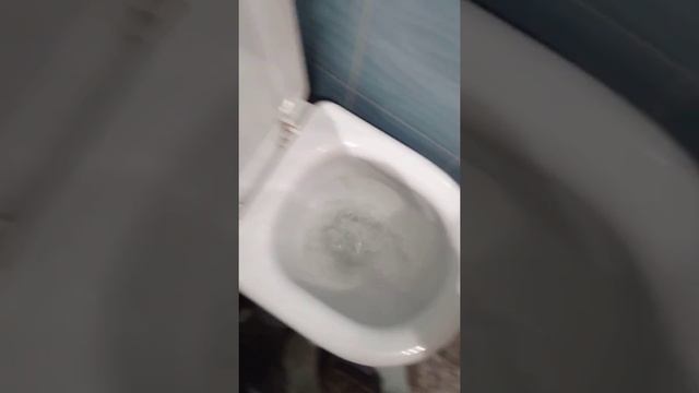 Лайфхак для ТУАЛЕТА!!