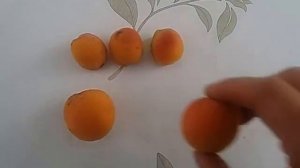 Чем отличается абрикос от урюка