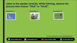 Listening Test 'True False': Simple Present Tense