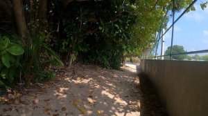 Мальдивы, остров Укулхас.
Прогулка по острову от нашего дайвцентра DiveUkulhas