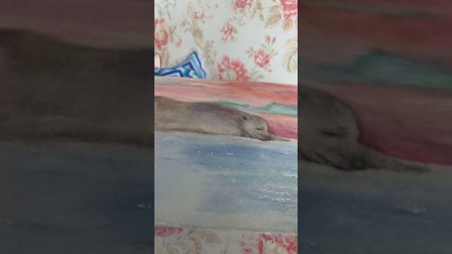 обзор картины Белые медведи смотреть онлайн