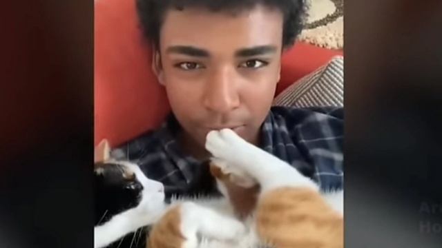 прикол