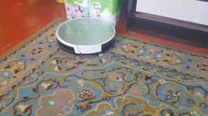 робот-пылесос Haier HB-hth h01H обзор