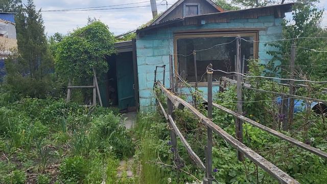 1000049077.mp4 смотреть онлайн