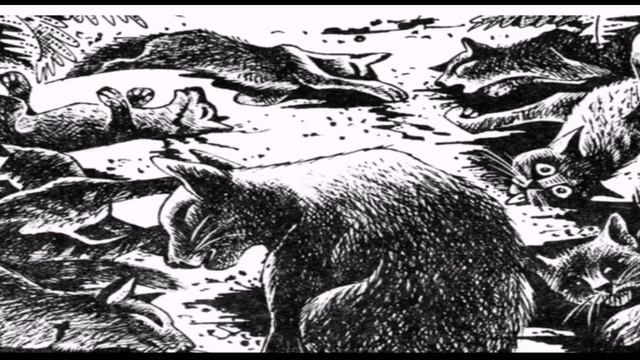 •Топ 5 битв в котах воителях• смотреть онлайн