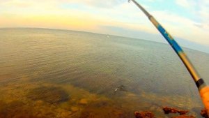 МОРСКАЯ РЫБАЛКА В КРЫМУ,ЛОВЛЯ САРГАНА НА БОМБАРДУ,Черноморский район
