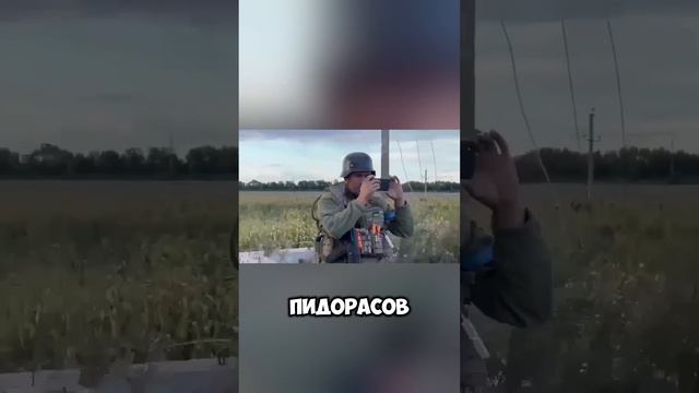 Наступление на Курск делает из либералов наших слонов💪🏼