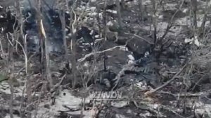 Штурмовики 394-го мотострелкового полка взяли опорный пункт ВСУ на Времевском участке фронта.