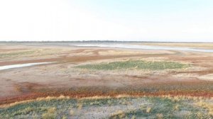 Пляж в станице Камышеватская