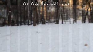 Саперная лопата-топор НОКС