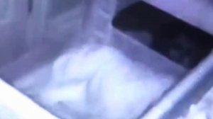 Мама хотела узнать, почему сын плачет по ночам, и видео с камер напугало даже её