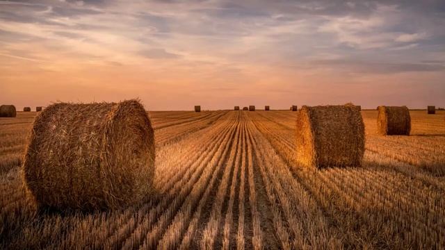 Релаксация.  Дыхательные техники.  Рассказывает психолог Владимир Семин, Центр психологии.