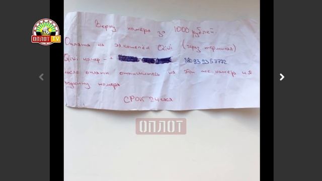 В соцсетях «Похищают автомобильные номера» смотреть онлайн