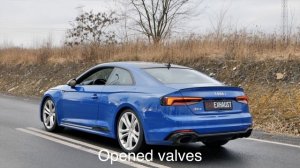 Audi RS5 (F5) 2.9 TFSI | Baq Exhaust | Downpipe