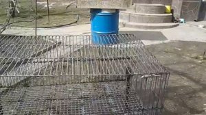 Клетка для нутрий.