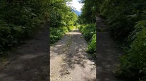 Туристический Маршрут 8. Псебай-Красная поляна. День 1.