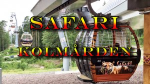 Made in Sweden: Safari - Kolmarden.