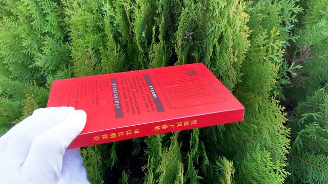 Монгольский Цзан Ча Столетний Дунчжуан кирпич 260 г