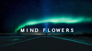 Chillstep Music / Marion - Mind Flowers