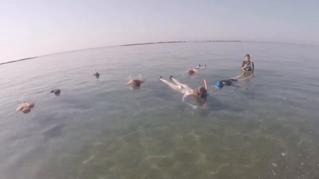 Фридайвинг на Кипре