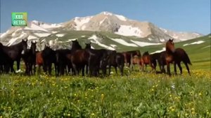 Черим Нахушев песня "Шагди". Кабардино-Балкария.