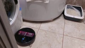 Видео обзор на мой любимый робот-пылесос Polaris PVCR Wave 15 Wi-Fi IQ Home Aqua