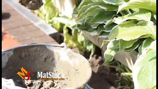 Укладка тротуарной плитки от МатСток MatStock ru смотреть онлайн