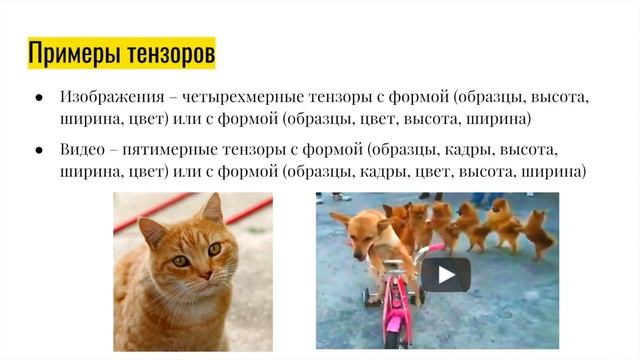 2. Базовая математика нейронных сетей | Краткий курс по нейронным сетям