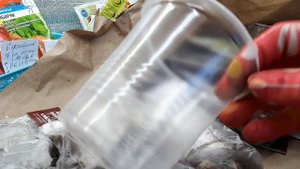 Ревизия лилий, хранение до посадки.