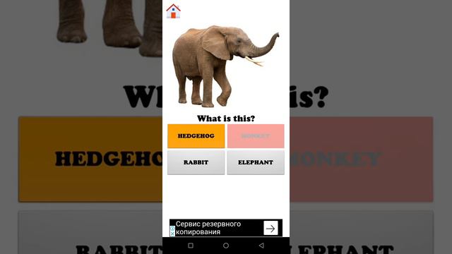 Английский язык. Изучаем животных. смотреть онлайн