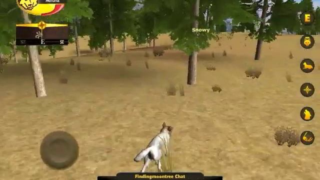 WolfQuest: Hunting for the Moon Tree (we did find it, but in unexpected circumstances...) смотреть онлайн