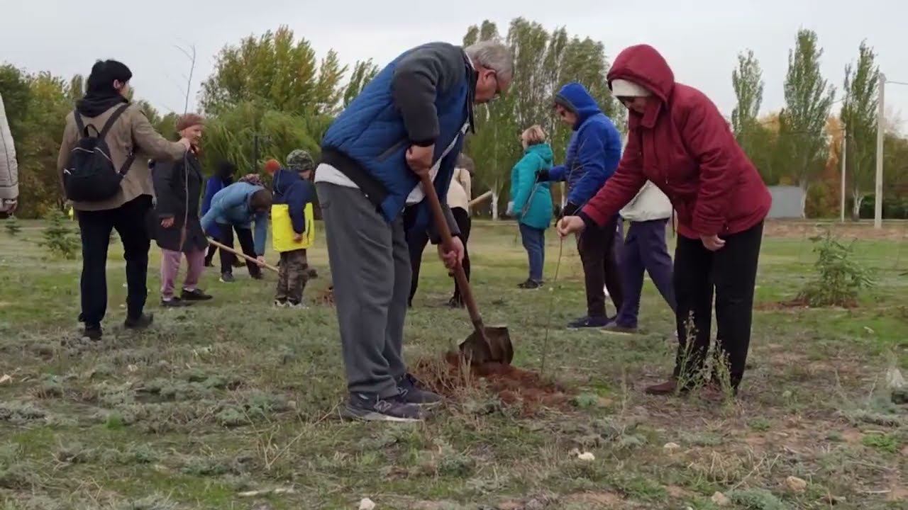В рамках акции «Сохраним лес» в Волгоградской области высадили 42 тысячи деревьев