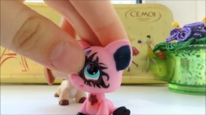 LPS обзор моих OOAK