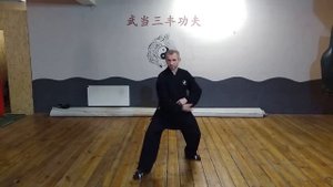 Базовые движения Уданского Тайчи: урок 1 (расчесать гриву дикой лошади - уданский вариант)