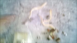 разбираем выключатель и розетки в металлолом!